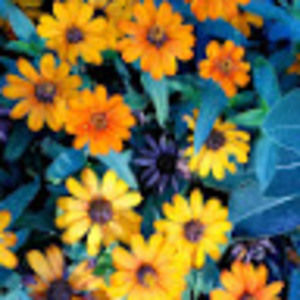 Meet your Posher, Kathleen